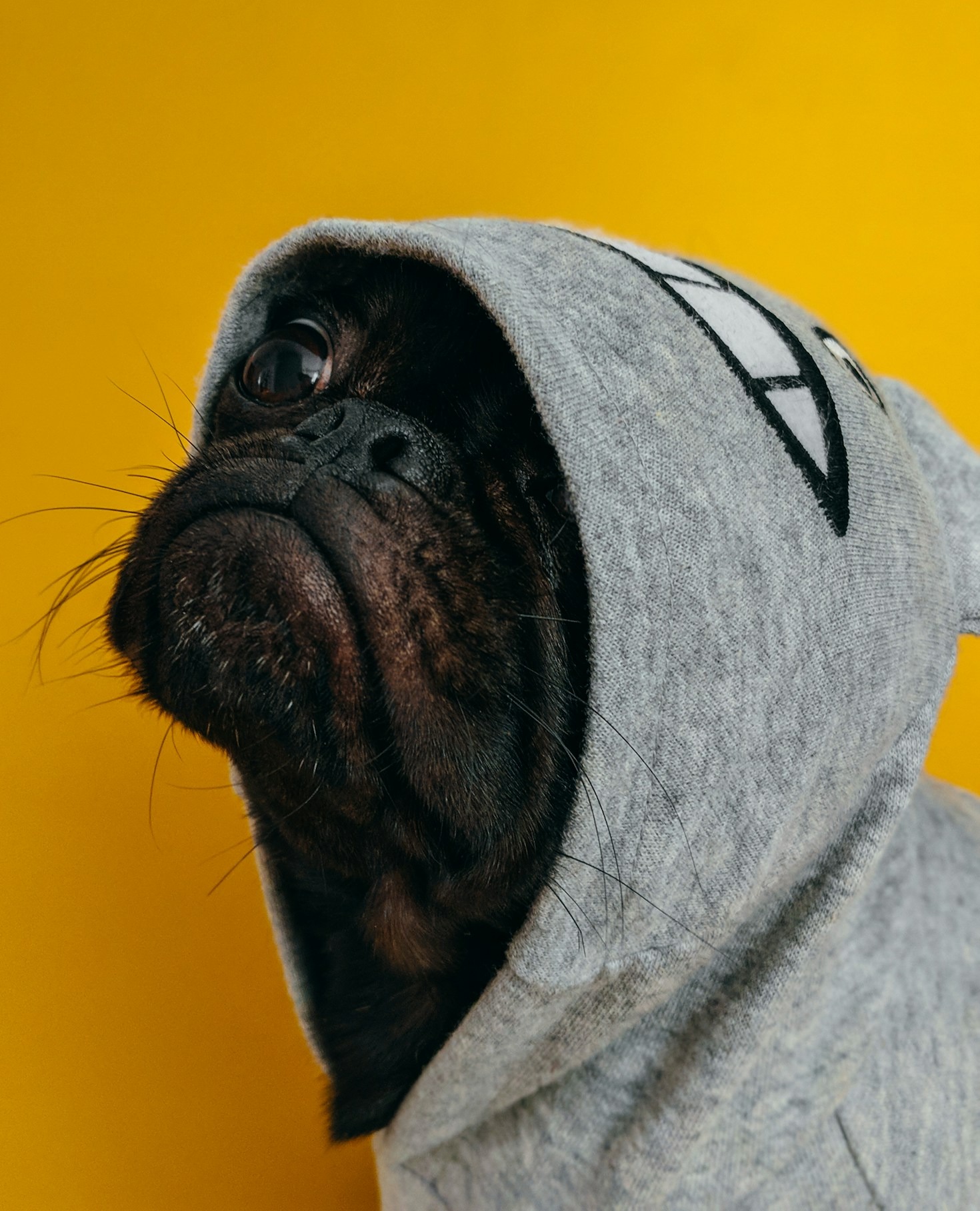Understanding the Impact of Satirical Marketing